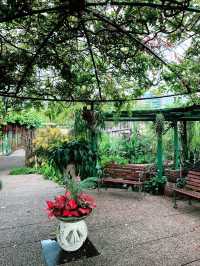 Blush of Serenity: Most Beautiful Secret Garden on One U Rooftop