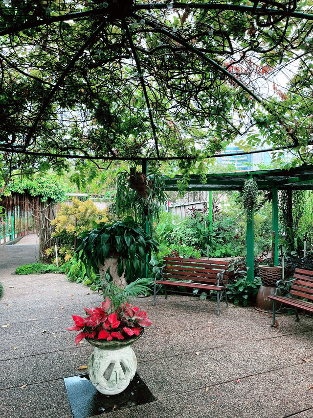 Blush of Serenity: Most Beautiful Secret Garden on One U Rooftop
