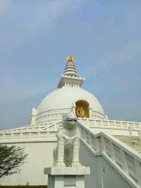 World Peace Pagoda