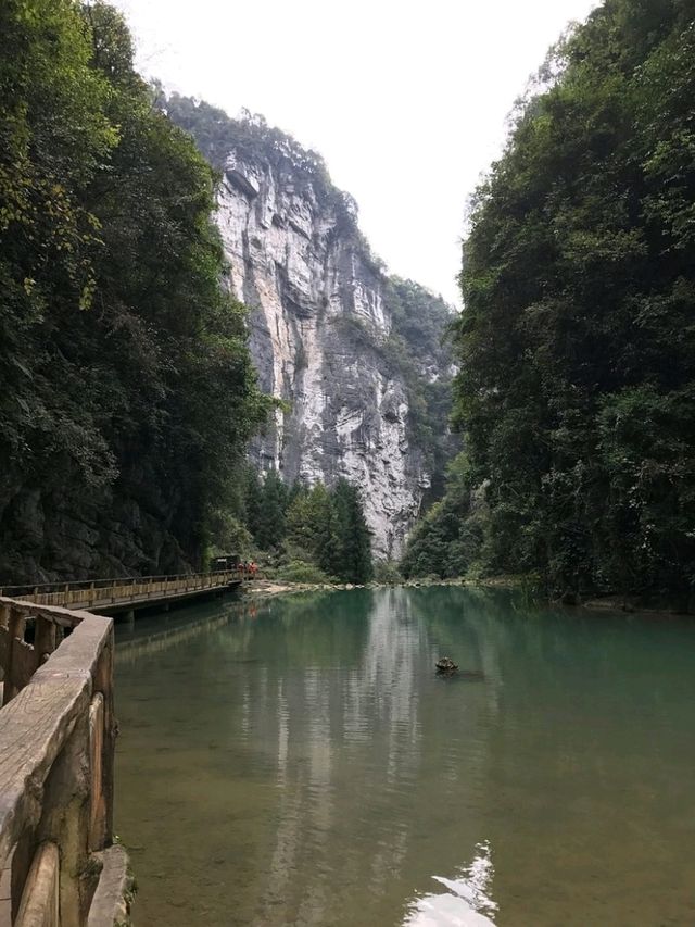 “Wulong Karst: Chongqing’s UNESCO-Kissed Gorge of Dragon‑Bridges, Caves & Mystical Tiankeng Wonders”