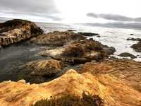 Stunning 17 Miles between Monterey and Carmel