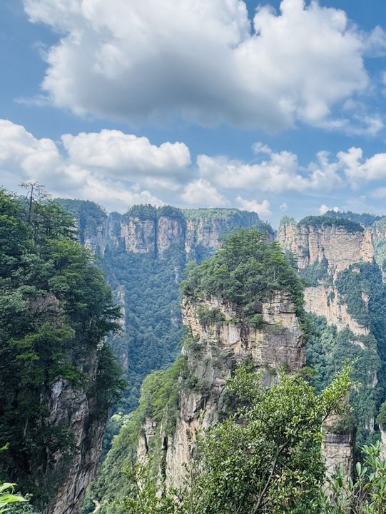 🌲 Zhangjiajie National Forest Park — A Real‑Life Avatar World