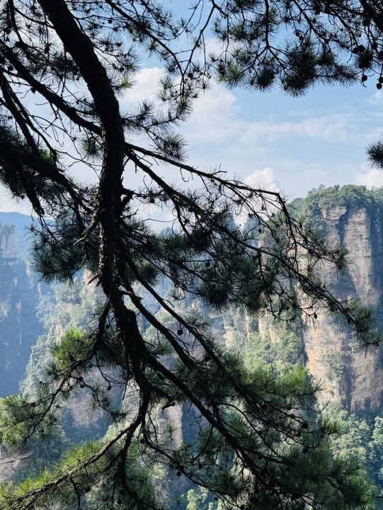 🌲 Zhangjiajie National Forest Park — A Real‑Life Avatar World
