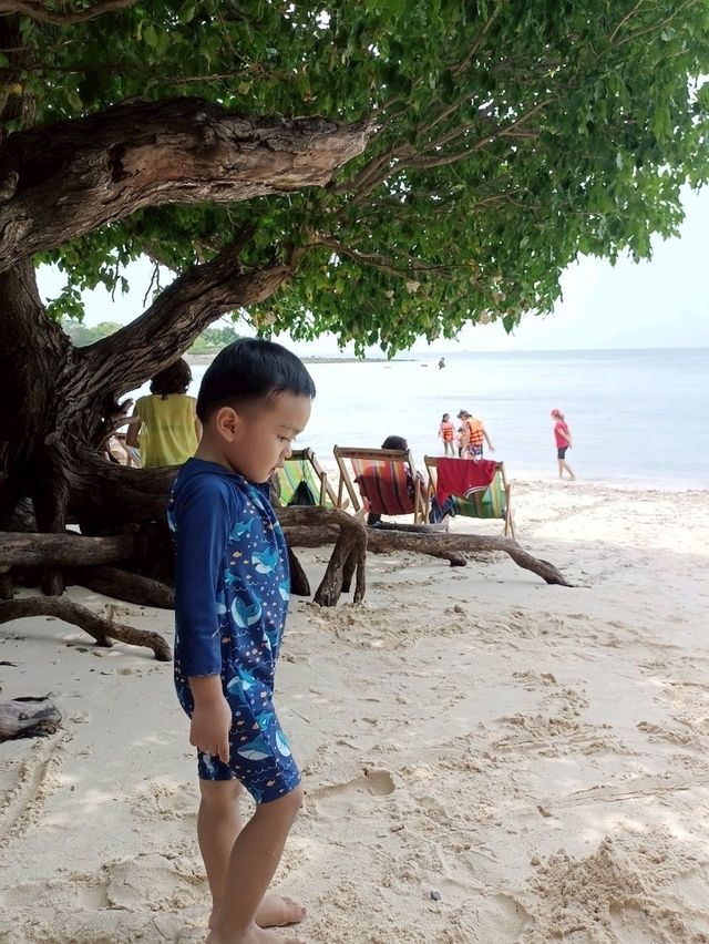 กิจกรรมบนเกาะ