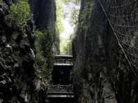  Zhangjiajie Grand Canyon: The Perfect Jiuzhaigou Alternative! 💚
