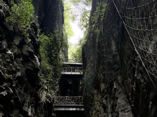  Zhangjiajie Grand Canyon: The Perfect Jiuzhaigou Alternative! 💚
