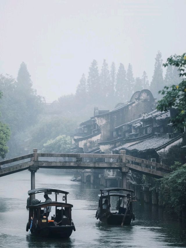 Wander the Waterways of Wuzhen