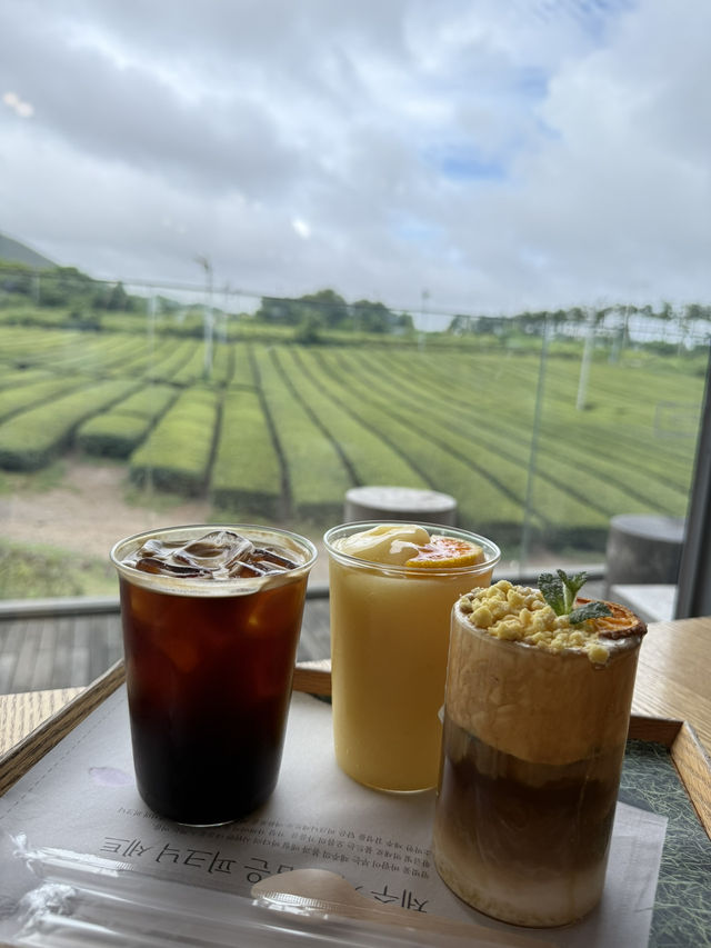 Awesome trip to Jeju