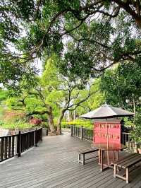 Relaxing Hot Spring Stay at Spring City Resort