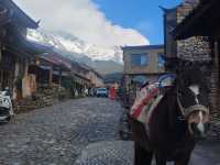 Chilly spring day in Lijiang (丽江)