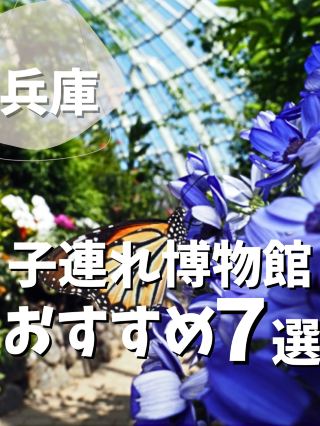[Từ Osaka] 7 bảo tàng được đề xuất ở Hyogo dành cho gia đình có trẻ em