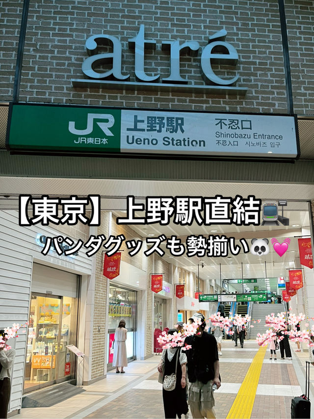 🐼【上野】アトレ上野でお買い物天国！パンダ＆グルメも満喫🎶