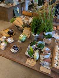 🌱雲仙のオーガニック直売所「タネト」
