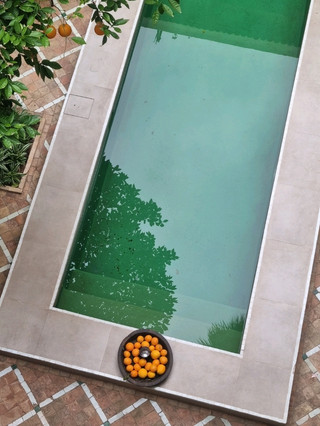 ✨ Marrakech Magic at Riad Le Rihani ✨