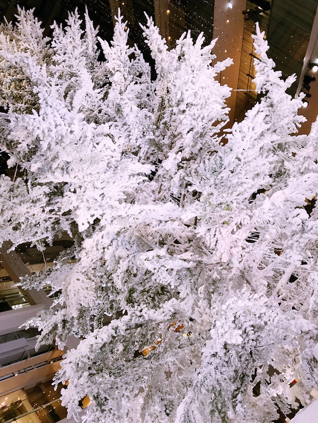 ✨ 丸の内クリスマス記録と2025 予測: 花と光の饗宴からマリオと共に彩る冬へ