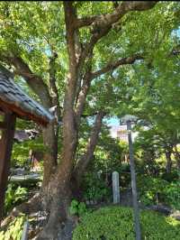 【大阪】堺市　月蔵寺(がつぞうじ)