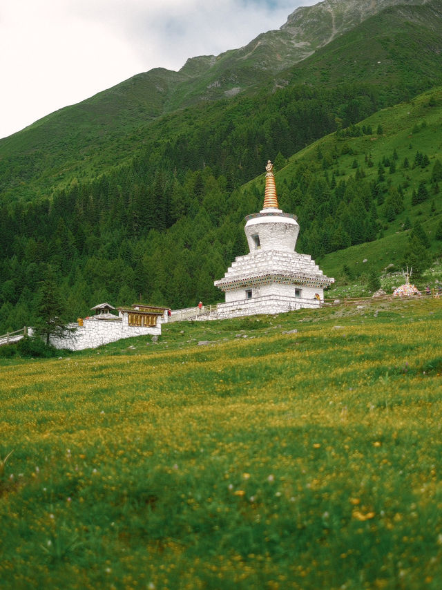 Siguniangshan in Summer Siguniangshan in Summer