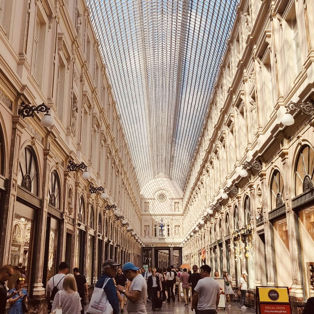 The World's Most Beautiful Stage: Solo in Brussels' Grand-Place 🎭 The World's Most Beautiful Stage: Solo in Brussels' Grand-Place 🎭