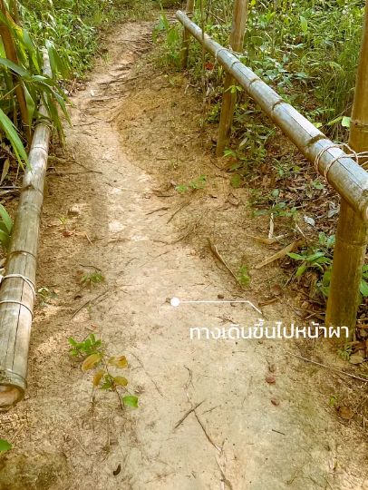 จุดลับ เกาะหมาก