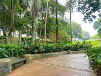 Dipterocarp Walk at The Canopy, Taman Botani Putrajaya – A Nature Escape Above the Trees