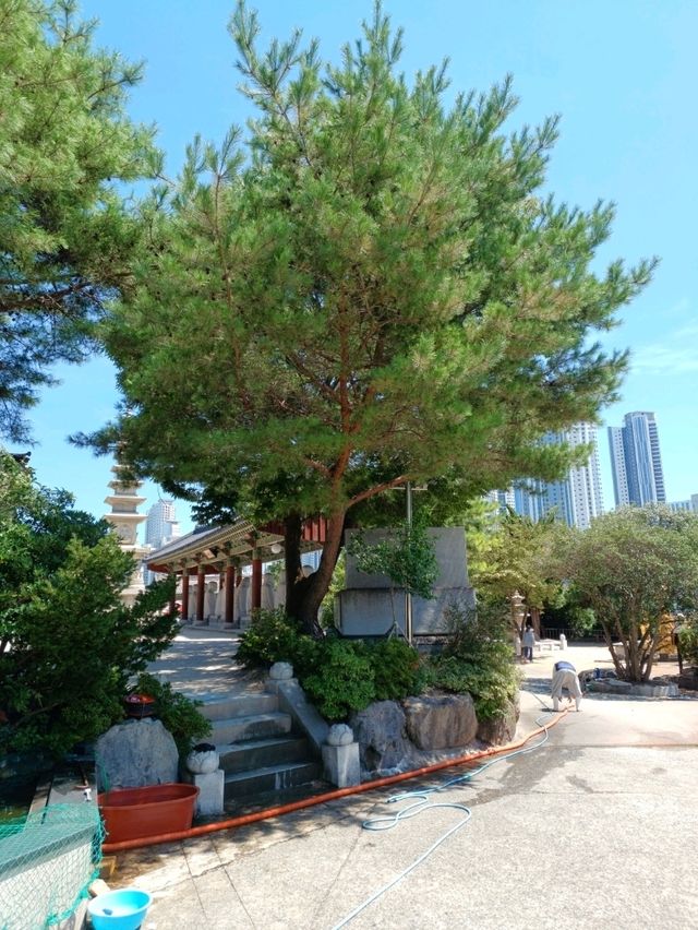 해운대의 도심 속 고요