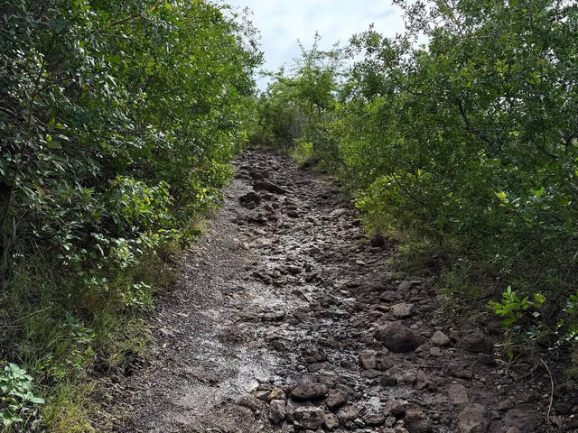 Discovering the Natural Beauty of Le Morne