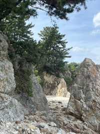 삼척 스노쿨링스팟