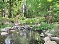 🌳【上海隱藏的“綠野仙蹤”!共青森林公園:城市中心的天然氧吧,隨手一拍就是森林大片!】🌳