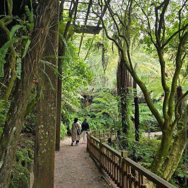 Domain Wintergardens (Auckland) 🌸