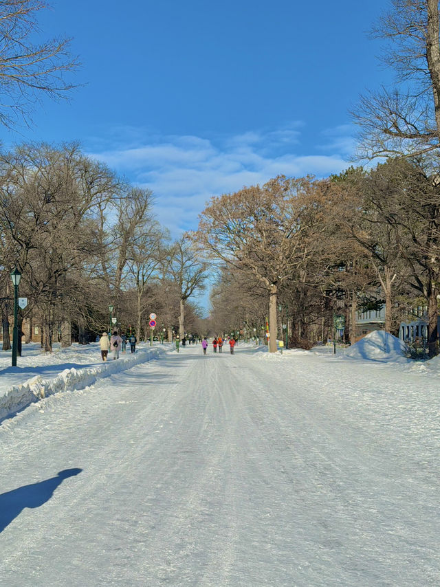 ❄️ 겨울 낭만 가득한 삿포로 여행 ✨☃️  ❄️ 겨울 낭만 가득한 삿포로 여행 ✨☃️