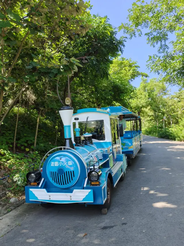 不錯一間動物園裏的餐廳🍴