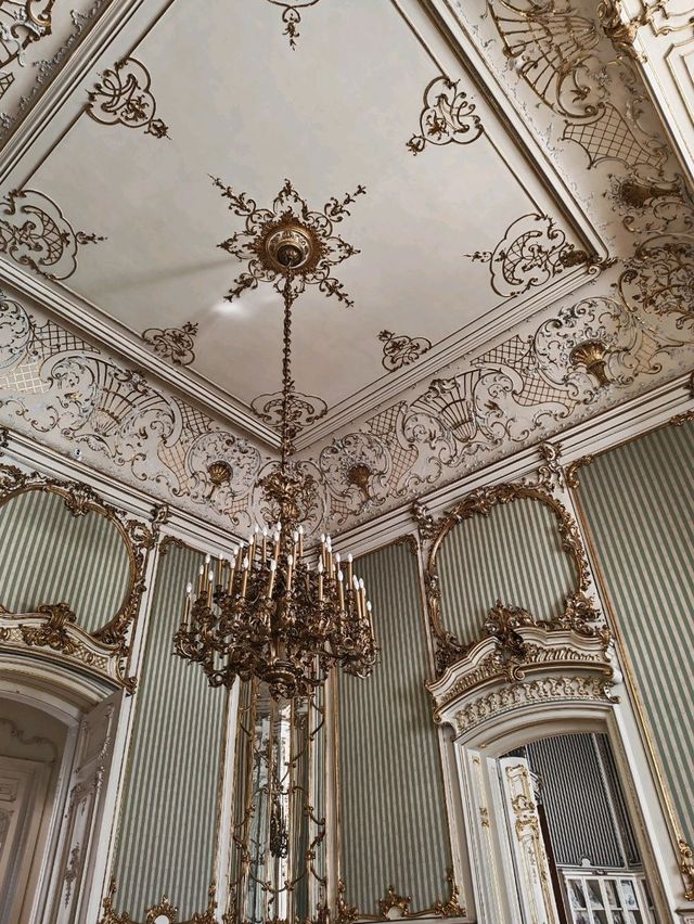 A Royal Palace... Full of Books? 📚👑