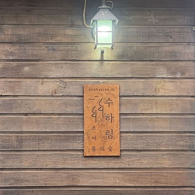 강릉숙소추천🏡 - 감성숙소 수하림 추천🌱