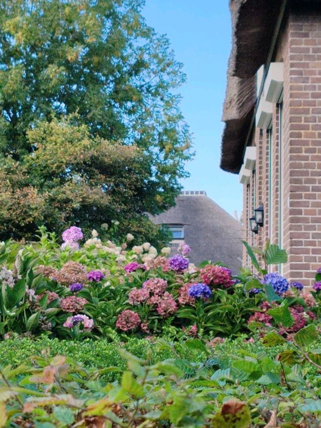 Late Summer Blooms in Giethoorn