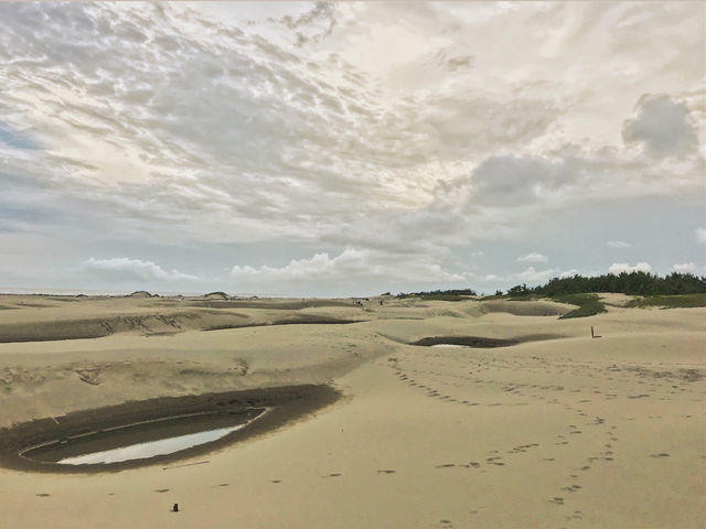 頂頭額沙洲 頂頭額沙洲