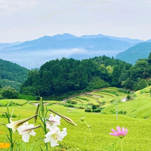壺神山麓に広がる “天空の隠れ里” の絶景棚田