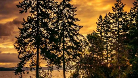 Cowichan valley — traveler post in Chemainus