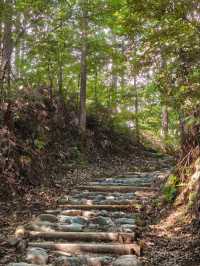 熊野古道中邊路徒步之旅