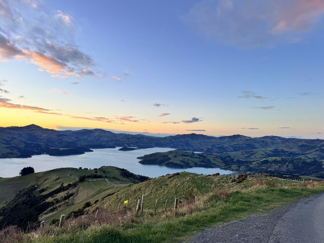 5 Days in Christchurch