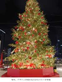 クリスマスツリー巡りなら横浜！ベイクォーターの巨大ツリーが人気フォトスポット