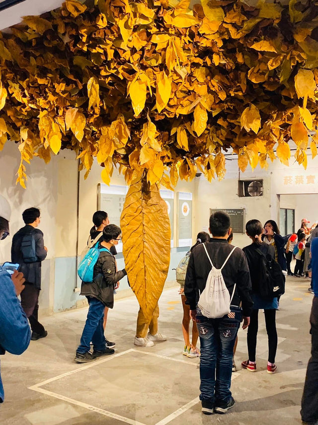 台版teamlab🎨 小孩愛瘋的沈浸式體驗 屏菸1936文化基地