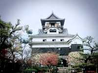 The Oldest Guardian: My Solo Visit to Inuyama Castle, Aichi