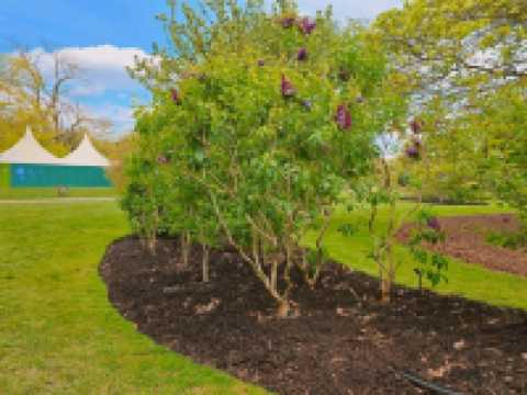 ๊ธ๊ฐ์ฐ๋ ์ํ๊ฒฝ! ํ๊ฐ๋ ์์ ๋ง์๋ ํ๋ผ๐๐ฒ