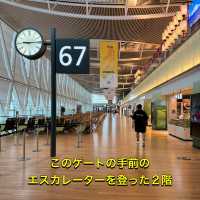 【新千歳空港】国際線「ノースラウンジ」体験レポ✈️✨