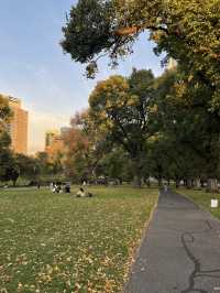 Flagstaff Gardens