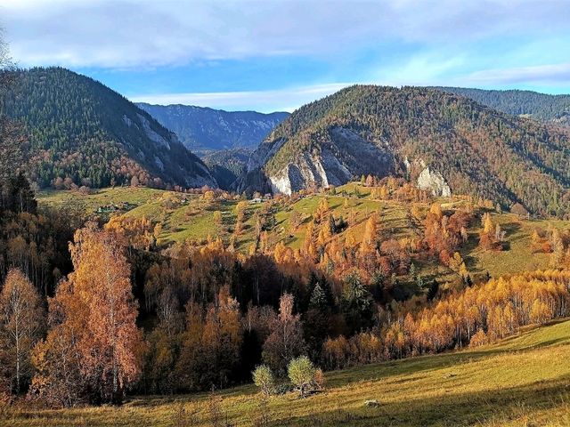 Piatra Craiului