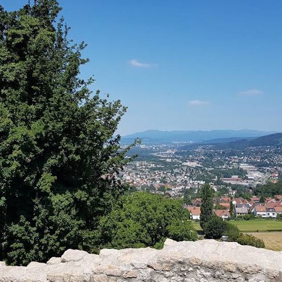 Ruine Pfeffingen – A Castle Above the Basel Countryside
