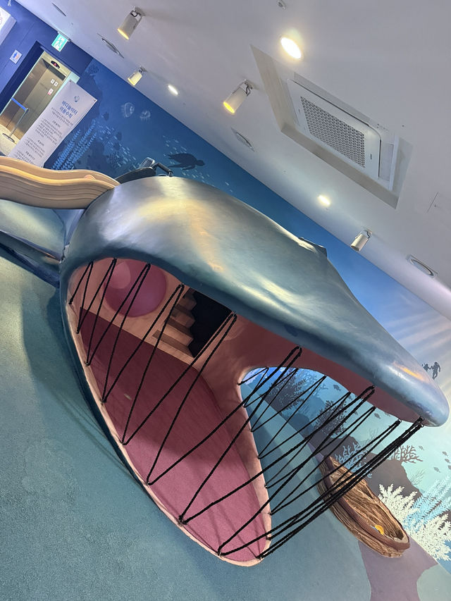 Make a Splash at Aqua Planet Jeju: The Ultimate Family Day Out! 🐠🌊
