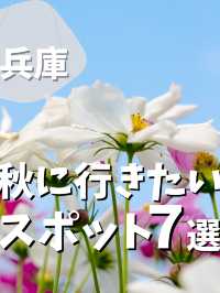 【兵庫】秋に行きたいスポット7選