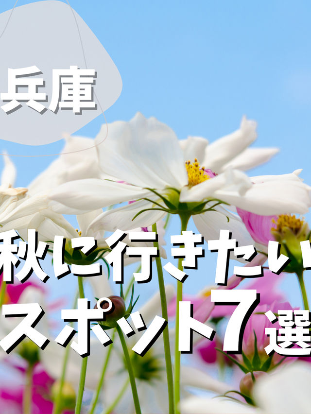 【兵庫】秋に行きたいスポット7選